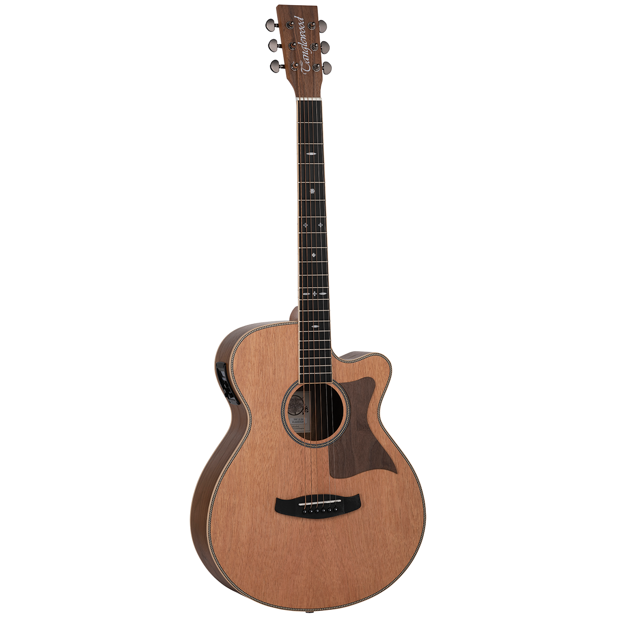 Tanglewood Reunion Pro Solid Australian Red Cedar Top Super Folk C/E with Black Walnut B/S TRU4-CE-BW - GIG Guitars