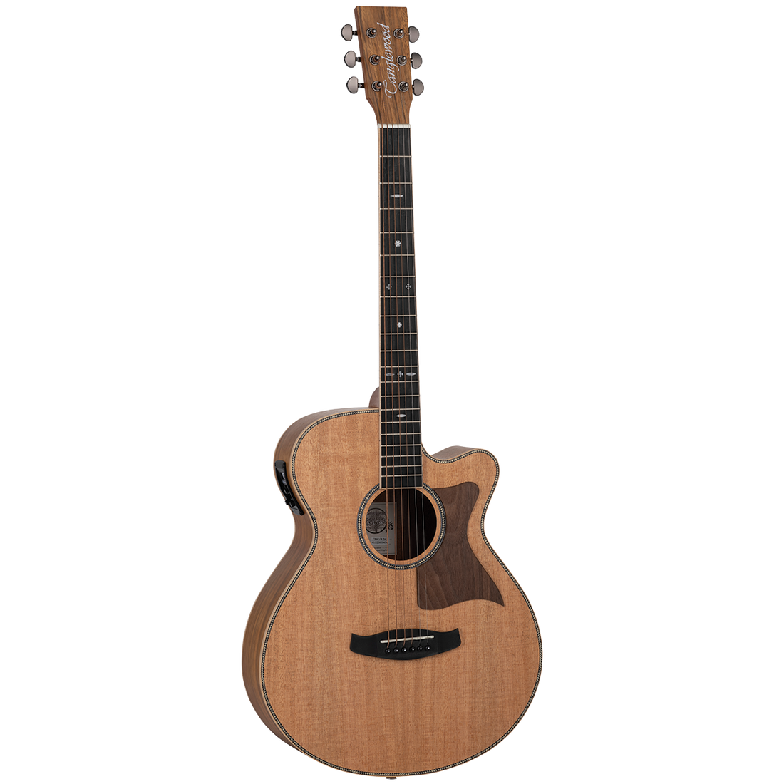 Tanglewood Reunion Pro Solid Australian Red Cedar Top Super Folk C/E with Pacific Walnut TRU4-CE-PW B/S - GIG Guitars