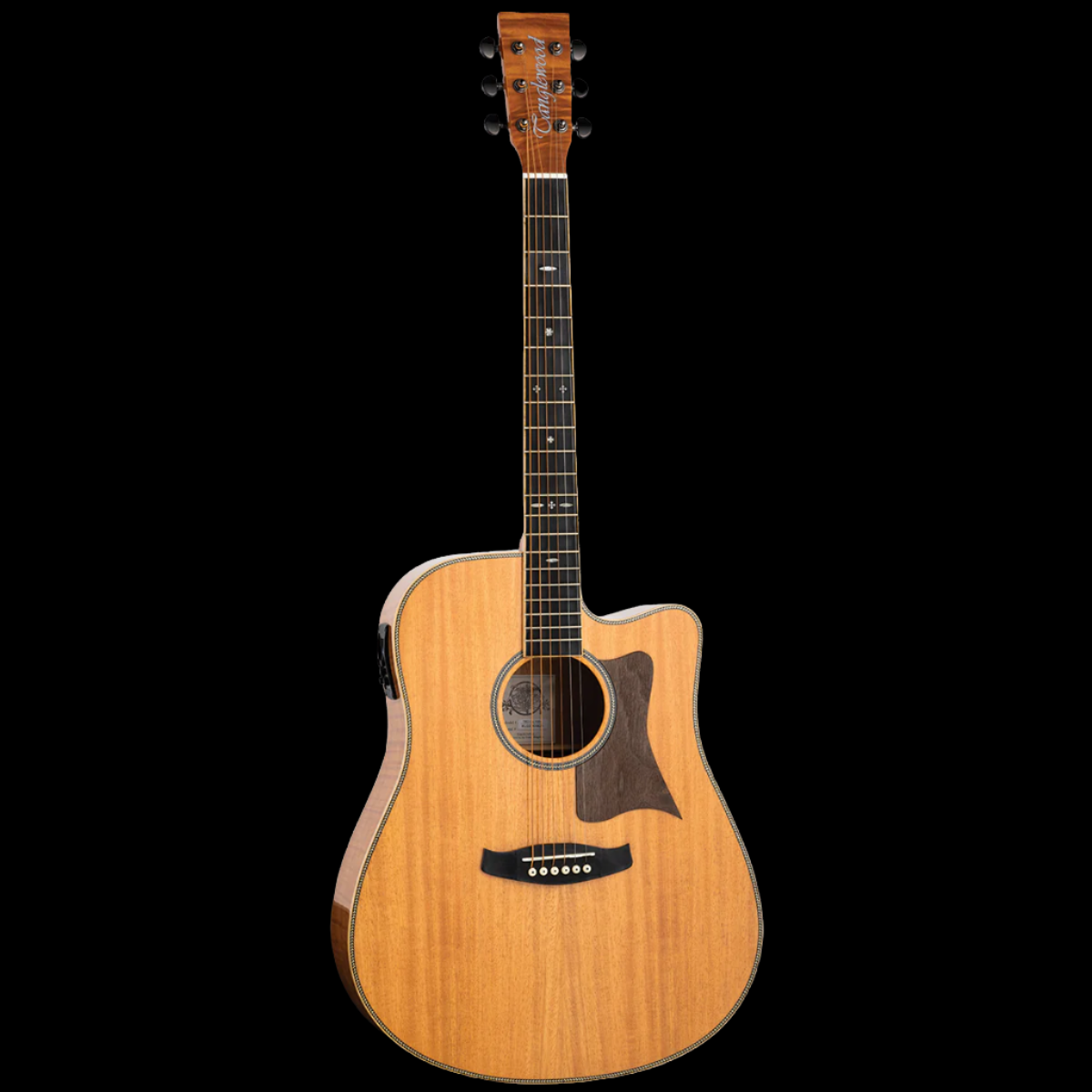 Tanglewood Reunion Pro Solid Australian Red Cedar Top Dreadnought C/E with Flame Okoume B/S TRU5-CE-FMH - GIG Guitars