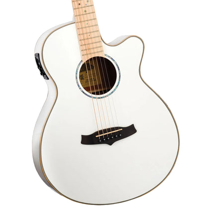 Tanglewood Winterleaf Pro Blonde Superfolk C/E Whitsunday White Gloss + Case