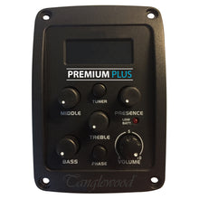 Tanglewood Guitars Acoustic Guitars Beginner, New Arrival, Winterleaf Series 2