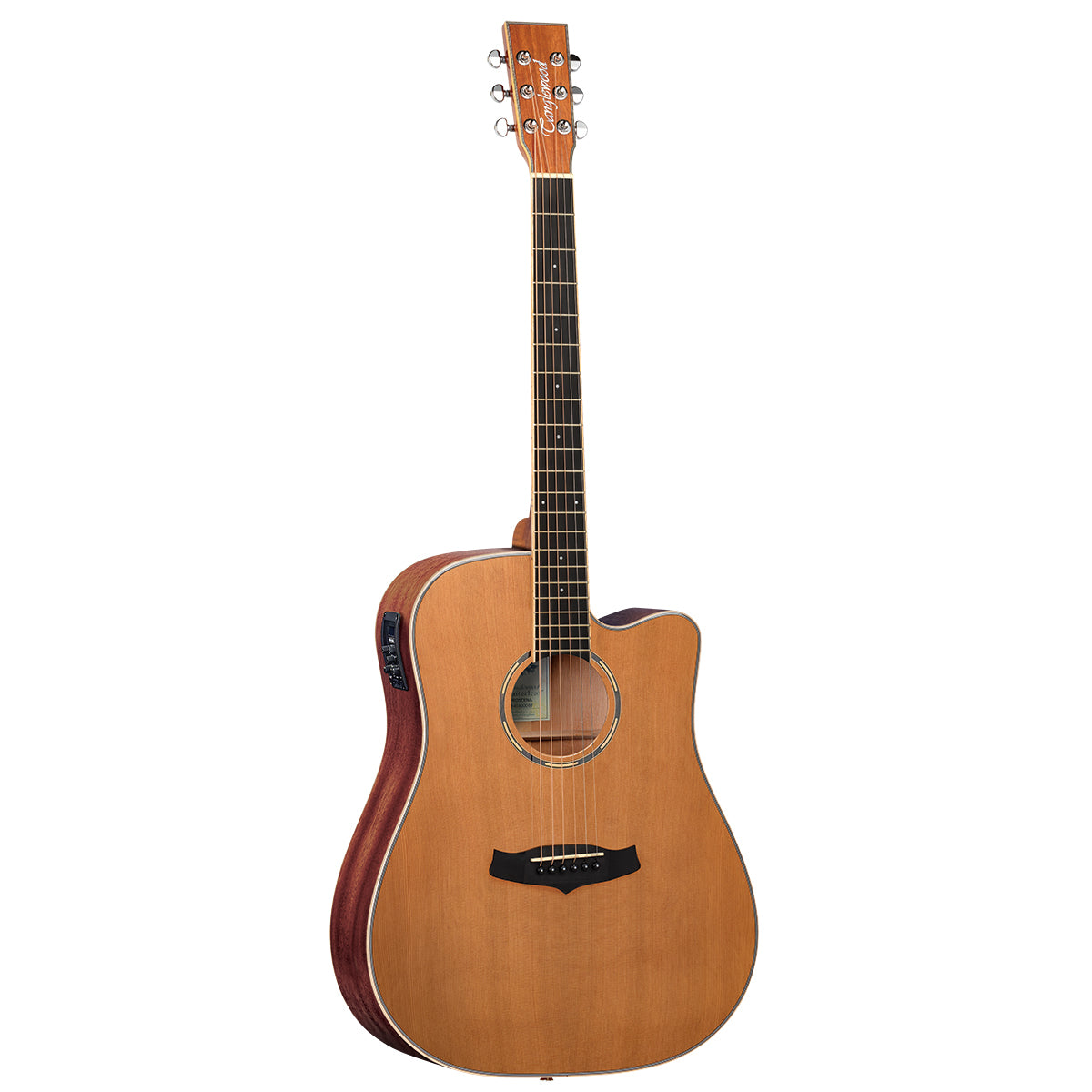 Tanglewood Winterleaf Pro Dreadnought C/E Acoustic