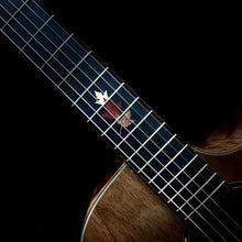 Tanglewood Winterleaf Exotic Superfolk Solid Top Venetian C/E Guitar all Black Walnut Acoustic Guitars