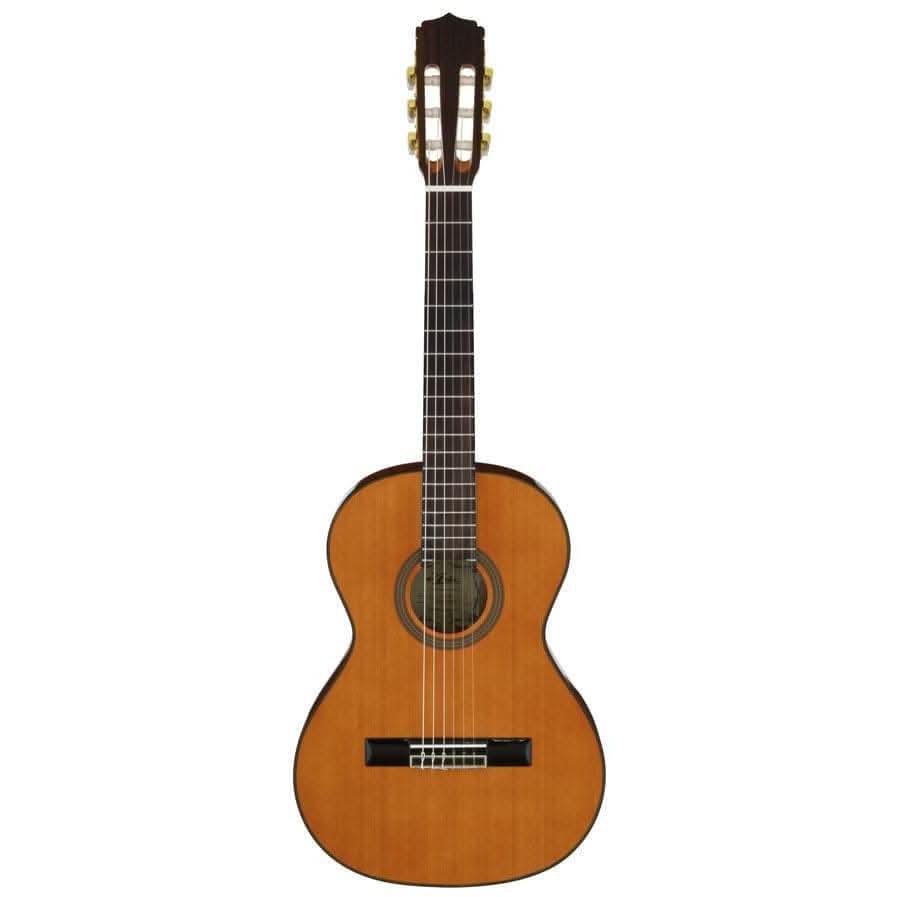 Aria A20 Series Deluxe 3/4 Size Classical/Nylon String Guitar - GIG Guitars