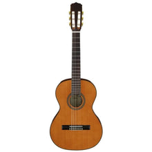 Aria A20 Series Deluxe 3/4 Size Classical/Nylon String Guitar Aria Classical Guitar