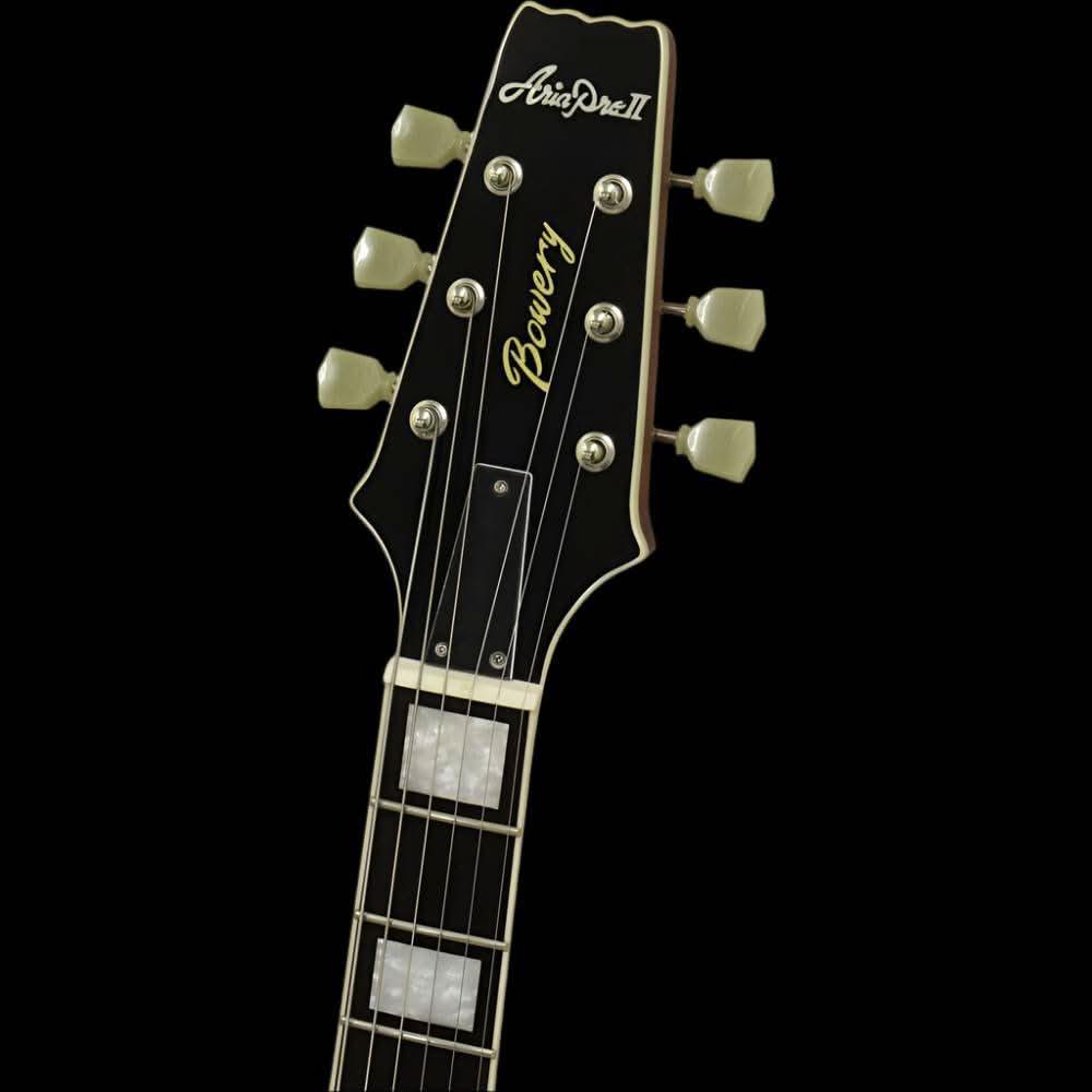 Aria 212-MK2 Bowery Semi-Hollow Electric Guitar in Black - GIG Guitars