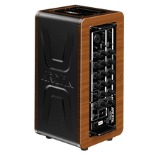 Aroma AG-60A 60W Acoustic Guitar Rechargable Amplifier Aroma Acoustic Amps