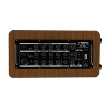 Aroma AG-60A 60W Acoustic Guitar Rechargable Amplifier Aroma Acoustic Amps