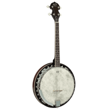 Barnes & Mullins BJ304GT 'Perfect' 4-String Gaelic Tenor Banjo Barnes & Mullins Banjo