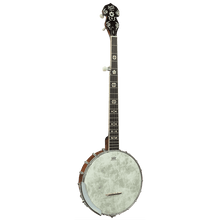 Barnes & Mullins BJ350G 'Albert' Open Back Banjo Barnes & Mullins Banjo