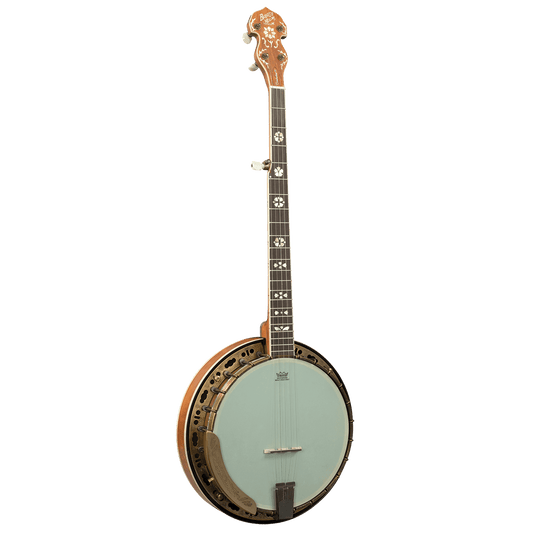 Banjo Barnes & Mullins GIG Guitars