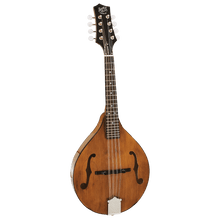 Barnes & Mullins BM600E Wimborne Mandolin with Pickup Barnes & Mullins Mandolin