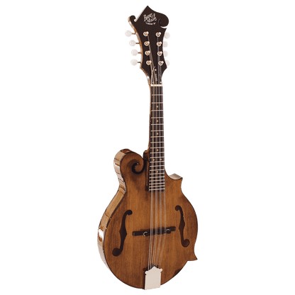 Barnes &amp; Mullins BM650 Salvino Mandolin - GIG Guitars