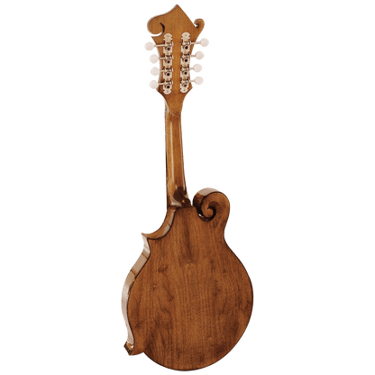 Barnes &amp; Mullins BM650 Salvino Mandolin - GIG Guitars