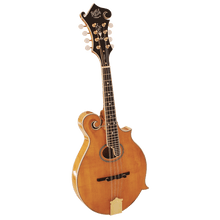 Barnes & Mullins BM700 Piercy Mandolin Barnes & Mullins Mandolin