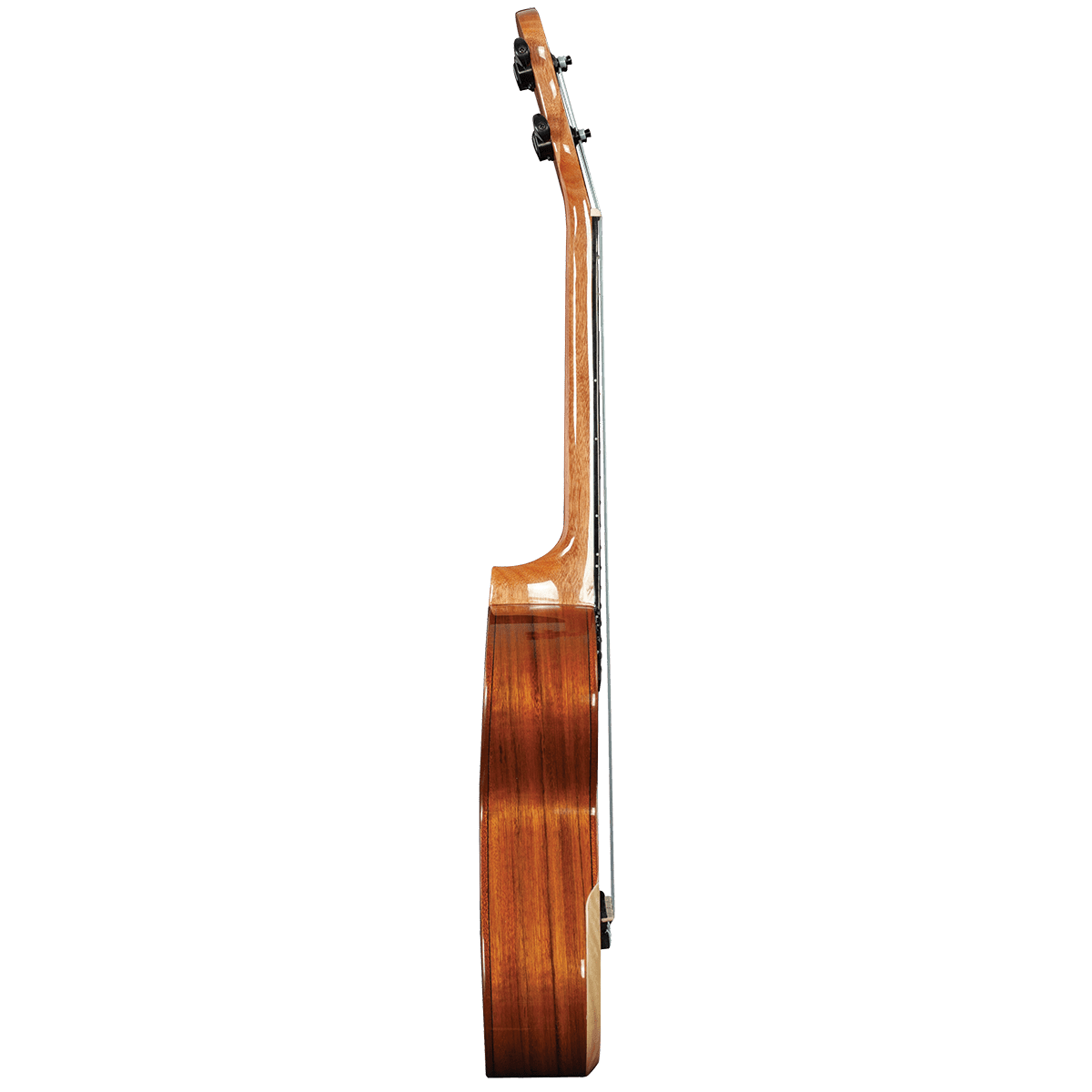 Barnes & Mullins BMUK5C Concert Walnut Ukulele - GIG Guitars