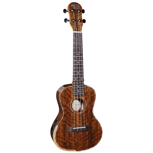 Ukulele Barnes & Mullins GIG Guitars