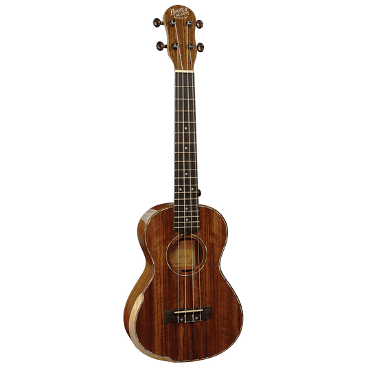 Ukulele Barnes & Mullins GIG Guitars