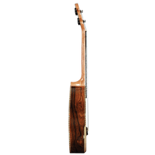 Barnes & Mullins BMUK8C Concert Becote Ukulele Barnes & Mullins Concert Ukulele, NatMusProduct 2