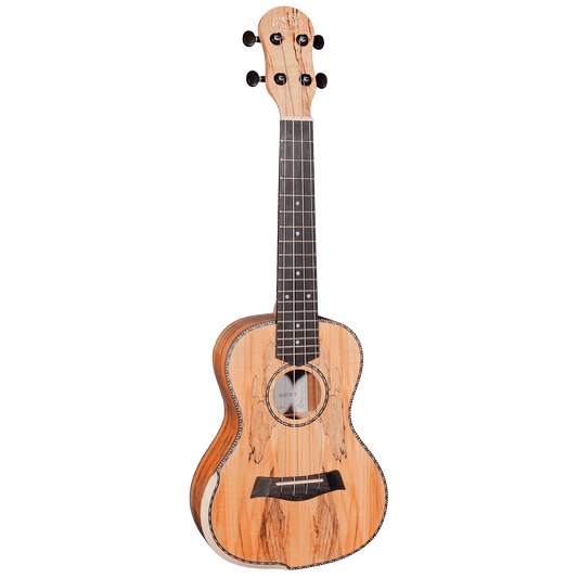 Ukulele Barnes & Mullins GIG Guitars