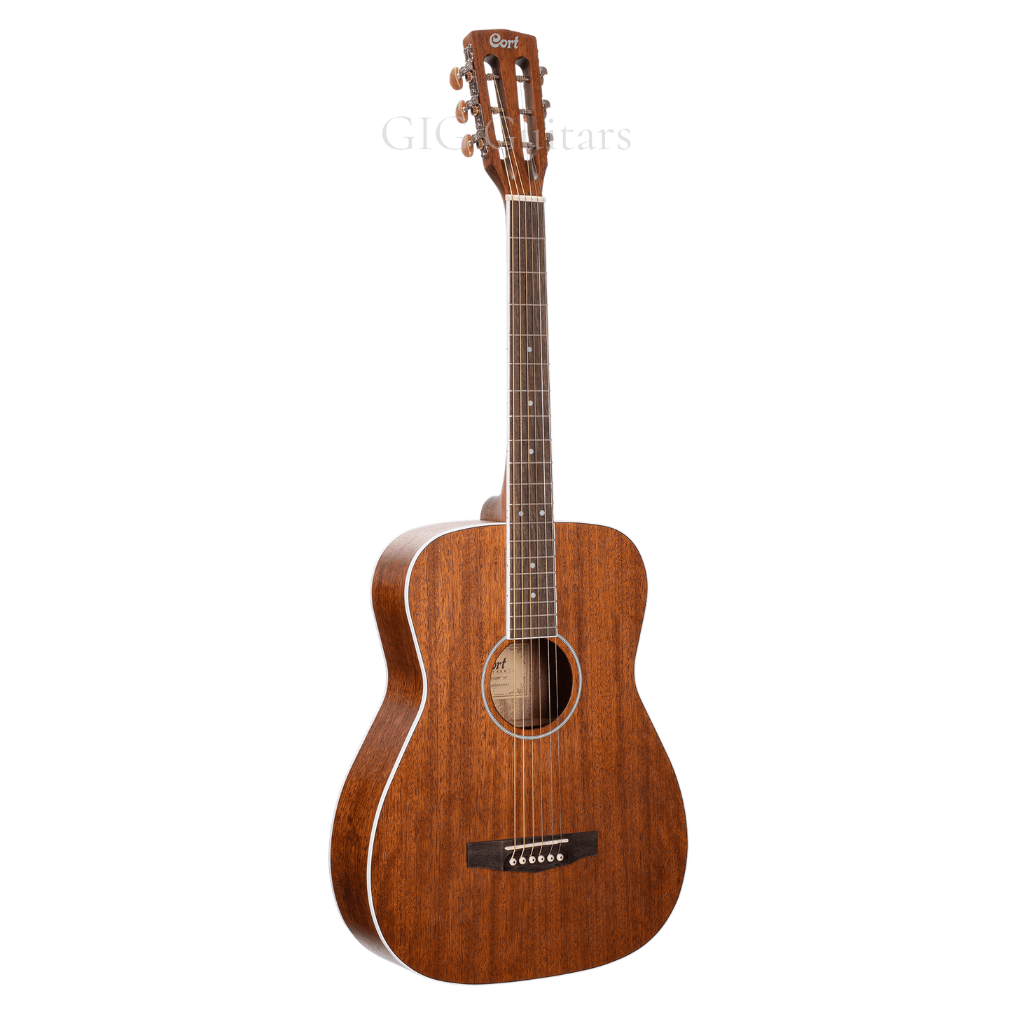 Acoustic/Electric Guitars Cort GIG Guitars