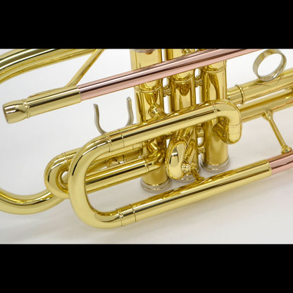 J.Michael CT420 Cornet (Bb) in Clear Lacquer Finish
