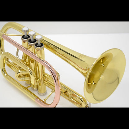 J.Michael CT420 Cornet (Bb) in Clear Lacquer Finish