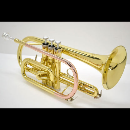 J.Michael CT420 Cornet (Bb) in Clear Lacquer Finish