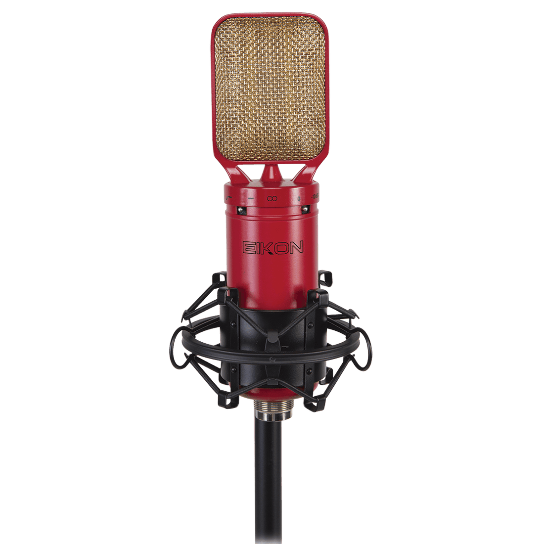 Eikon RM8 Ribbon Microphone with mount &amp; case - GIG Guitars