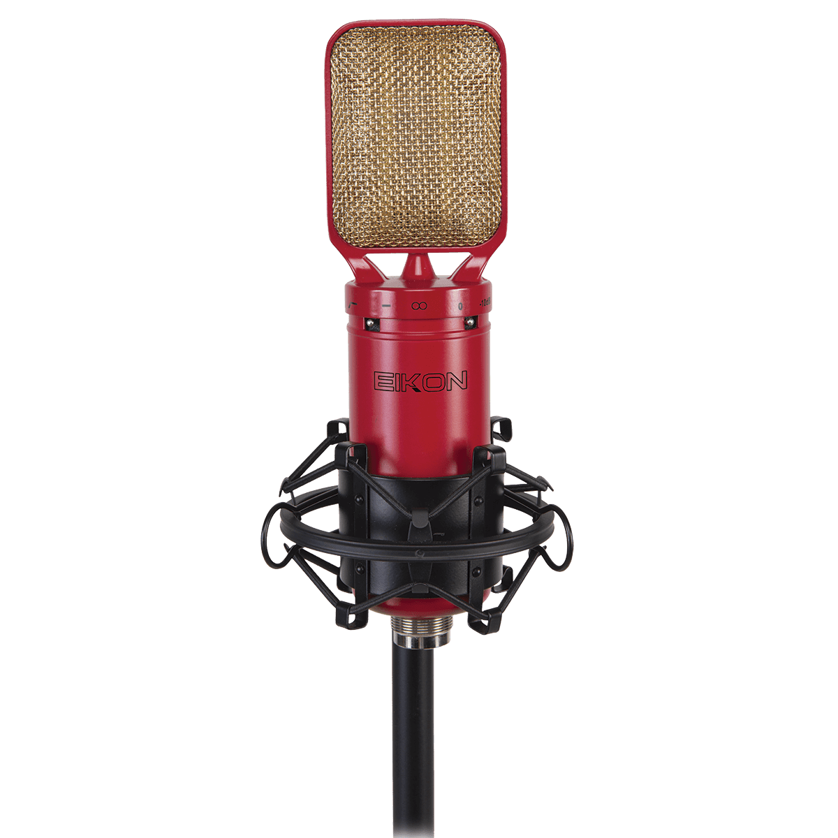 Eikon RM8 Ribbon Microphone with mount & case - GIG Guitars