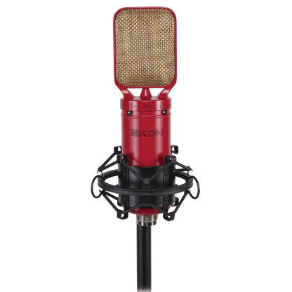 Eikon RM8 Ribbon Microphone with mount & case - GIG Guitars