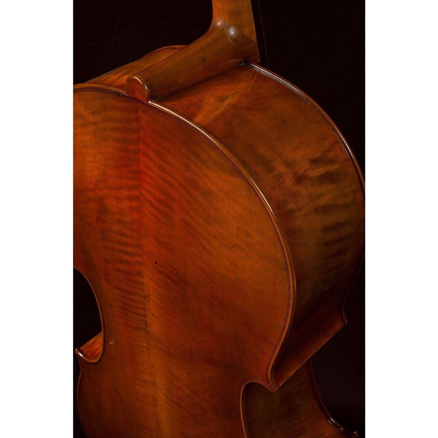 Cello Hidersine GIG Guitars