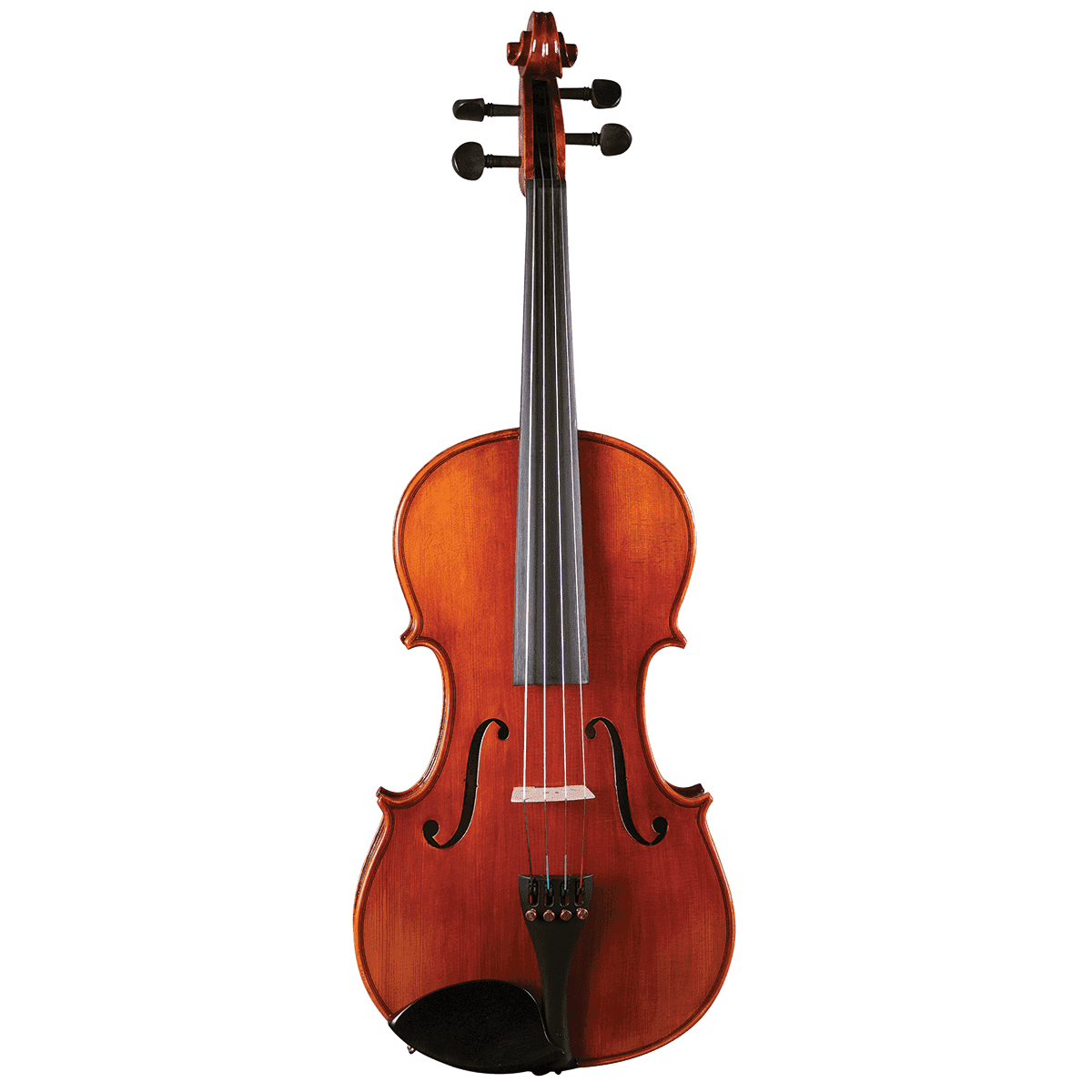 Hidersine Studenti Viola 13" Student Outfit - GIG Guitars