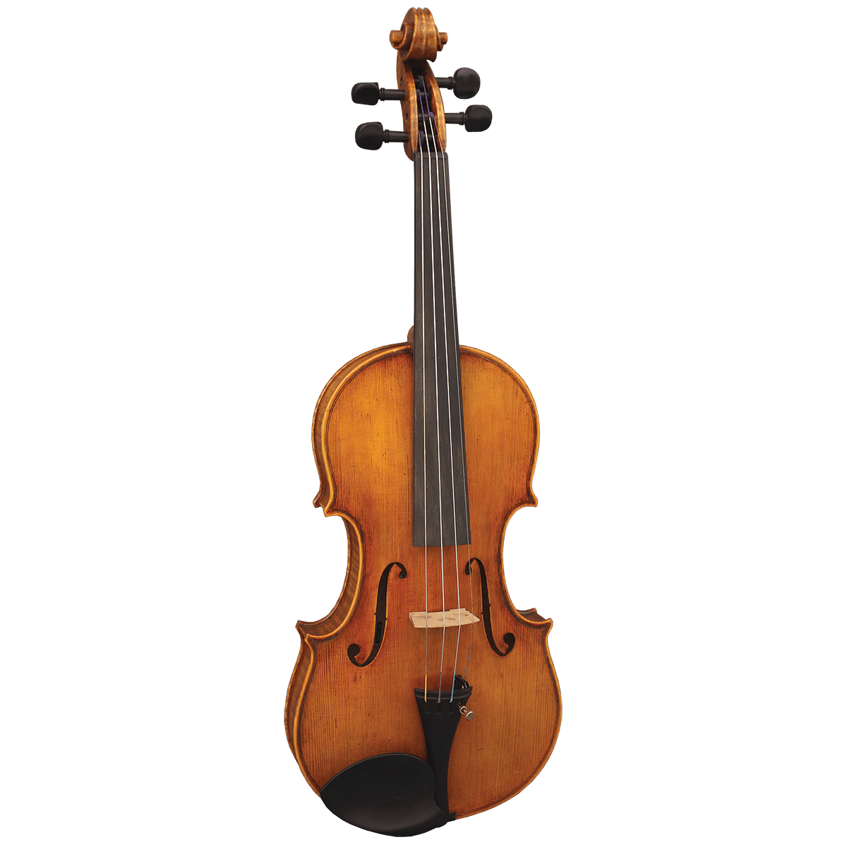 Hidersine Reserve WV400 4/4 Violin Outfit Inc. Setup. - GIG Guitars