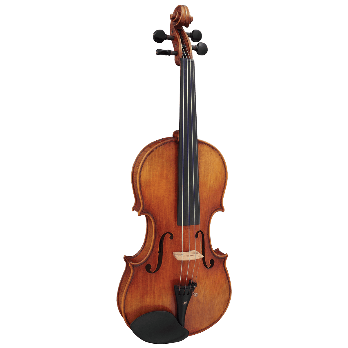 Hidersine Venezia WV100 Violin Outfit 4/4 Inc. Setup - GIG Guitars