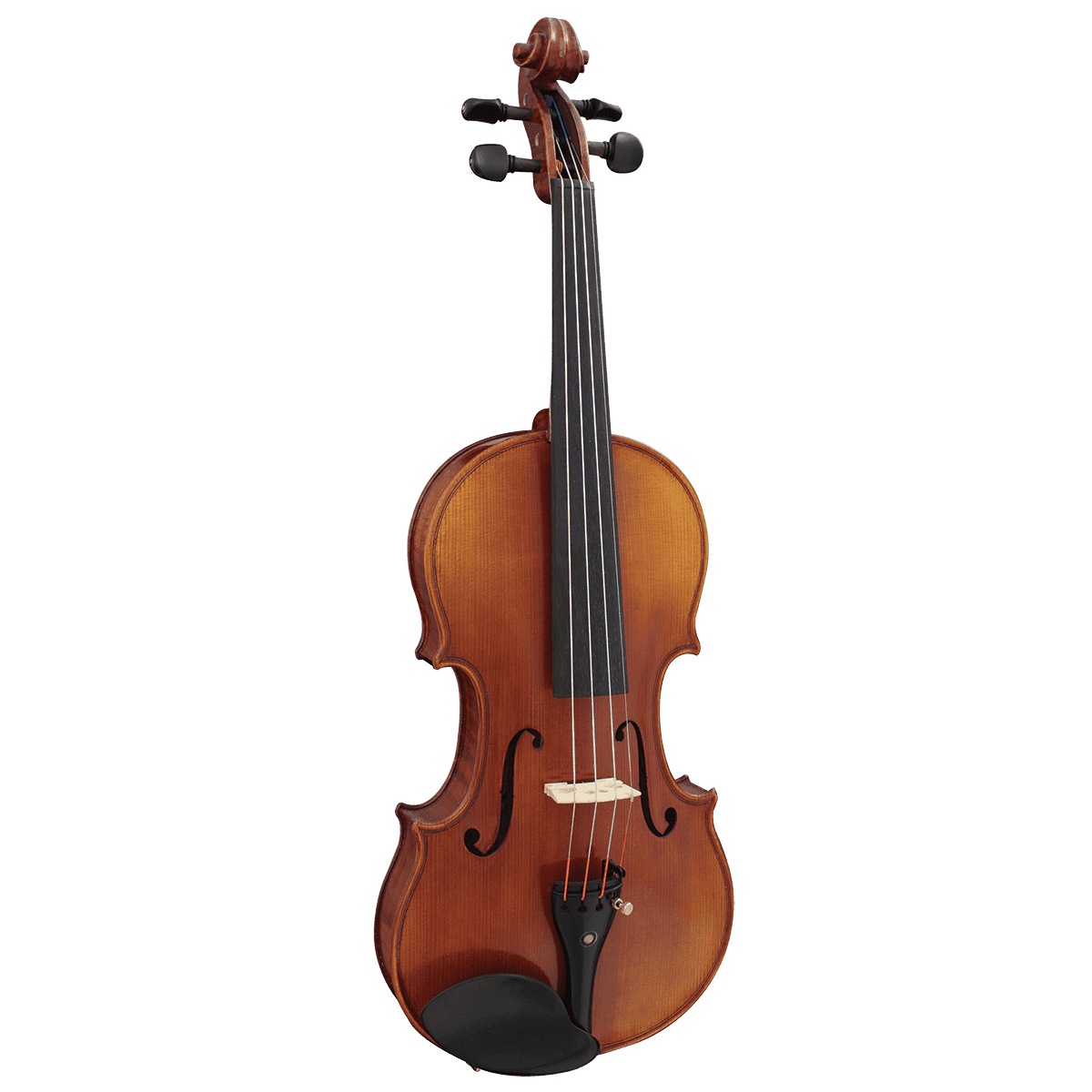 Hidersine WV50 Violin Outfit 4/4 Inc. Setup. - GIG Guitars