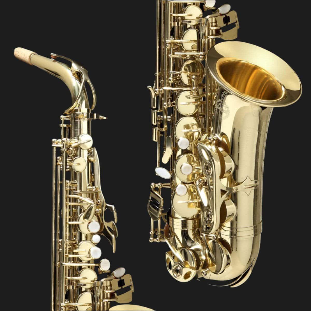 Grassi AS20SK Alto Saxophone Pack - GIG Guitars