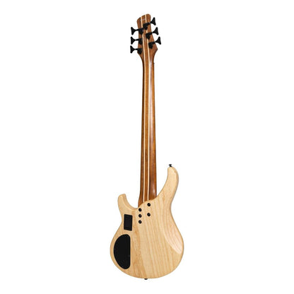 J&D 'Legacy Series' Mahogany & Zebrano T-Style Contemporary 6 String Electric Bass Guitar