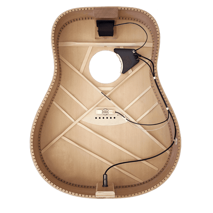 Acoustic Guitar Pickup LR Baggs GIG Guitars