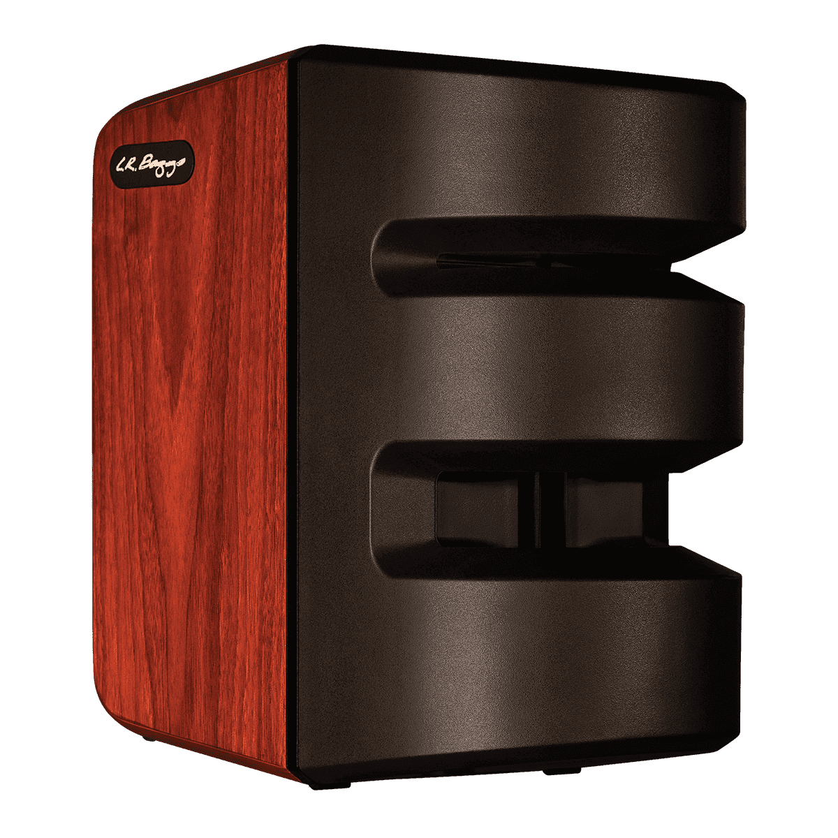 LR Baggs Synapse Personal PA System - GIG Guitars