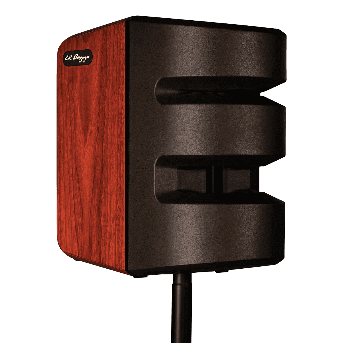 LR Baggs Synapse Personal PA System - GIG Guitars