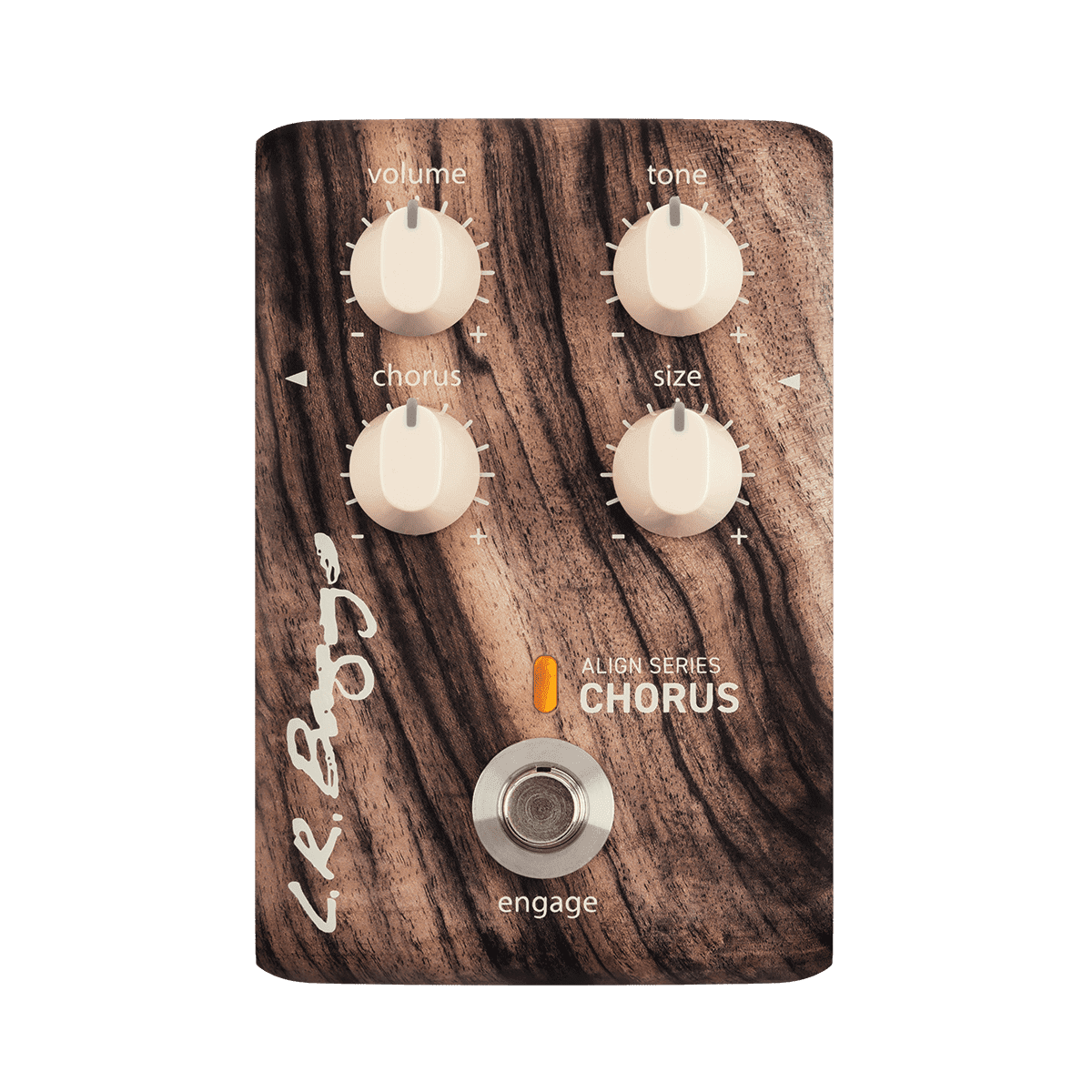 Acoustic Pedals LR Baggs GIG Guitars