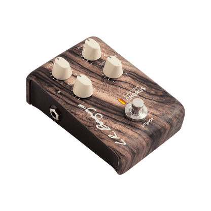 Acoustic Pedals LR Baggs GIG Guitars