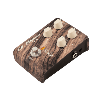 Acoustic Pedals LR Baggs GIG Guitars