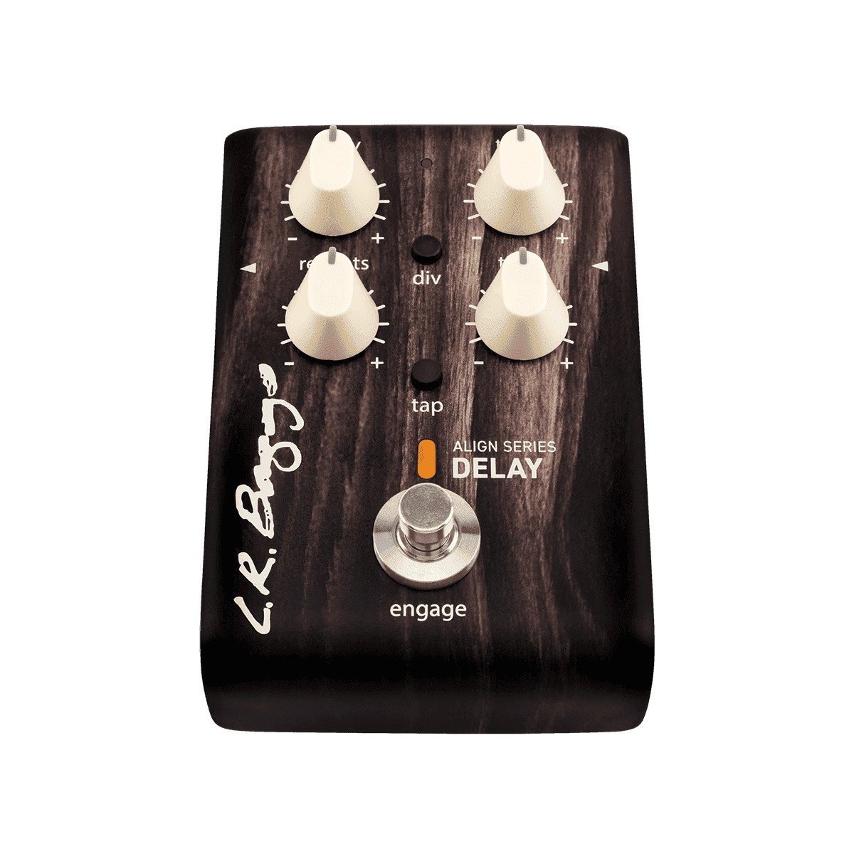 Acoustic Pedals LR Baggs GIG Guitars