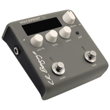 LR Baggs VOICEPRINTDI Guitar Pedal Voiceprint DI LR Baggs Acoustic Pedals