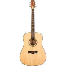 Peavey DW1 Delta Woods Series Dreadnought Acoustic Guitar Peavey Acoustic Guitars