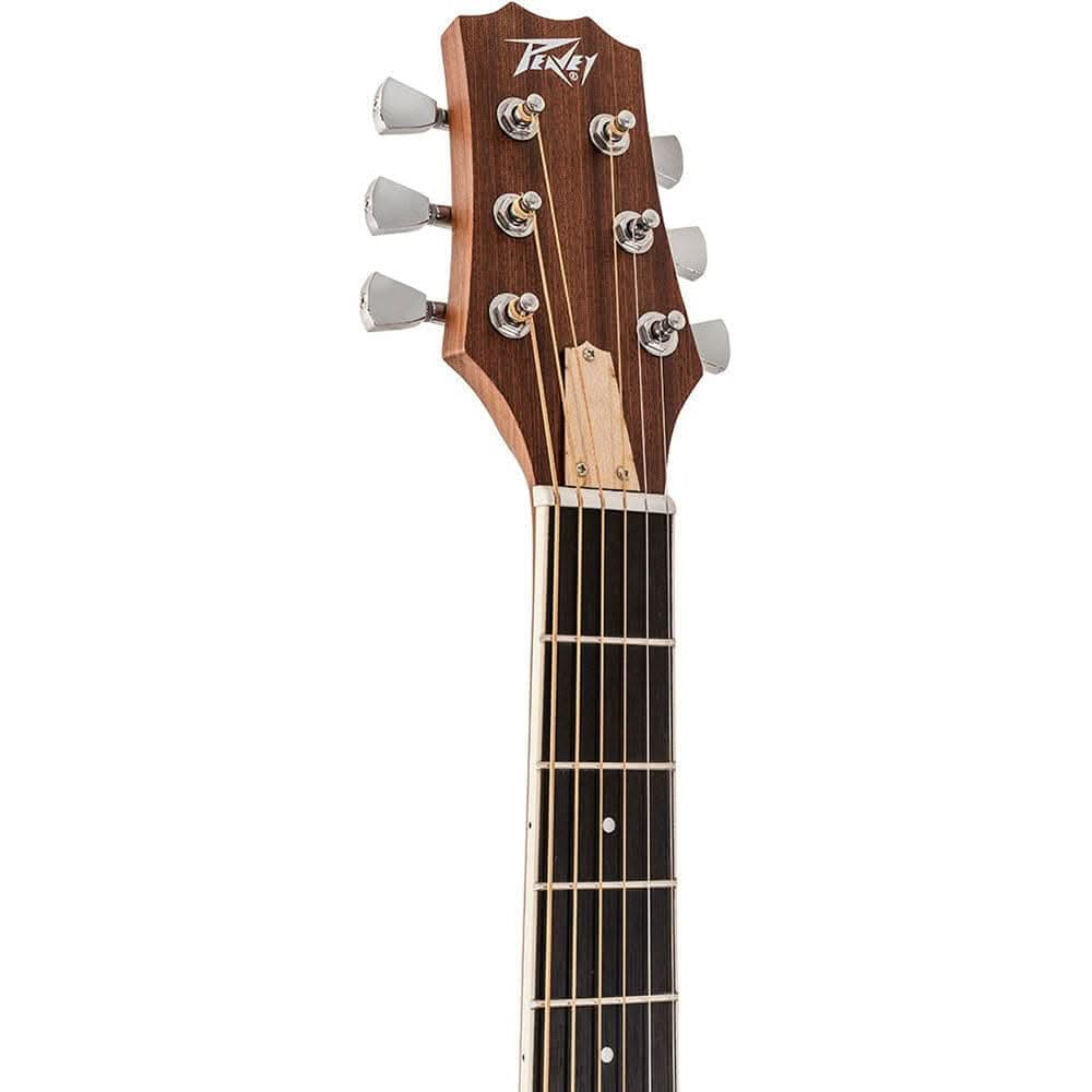 Peavey DW2 Delta Woods Series Dreadnought Acoustic Guitar - GIG Guitars