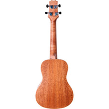 Peavey Ukulele 2