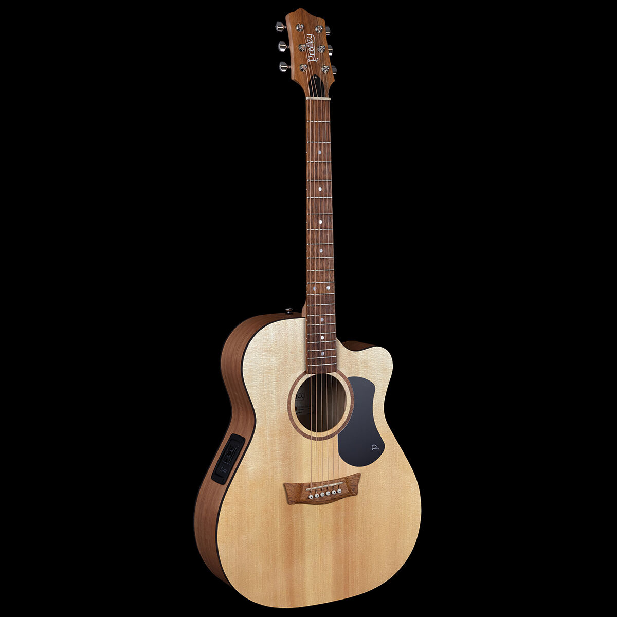 Acoustic/Electric Guitars Pratley Guitars GIG Guitars